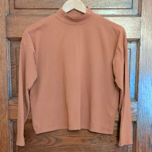 Everlane Terracotta Long Sleeve Tee